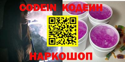 индика Шелехов