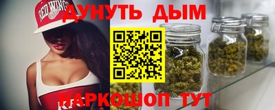 индика Шелехов