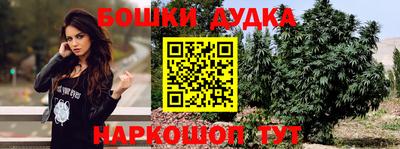 индика Шелехов