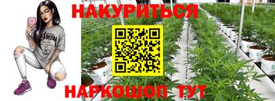 бошки Шахты